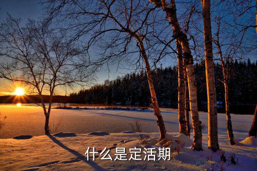 定期活期是什么意思，什么是定活期
