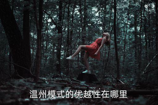 溫州模式為什么具有很強(qiáng)的經(jīng)濟(jì)性，溫州模式取得成功的原因6分題