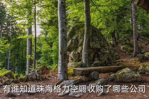格力收購什么，有誰知道珠海格力空調(diào)收購了哪些公司