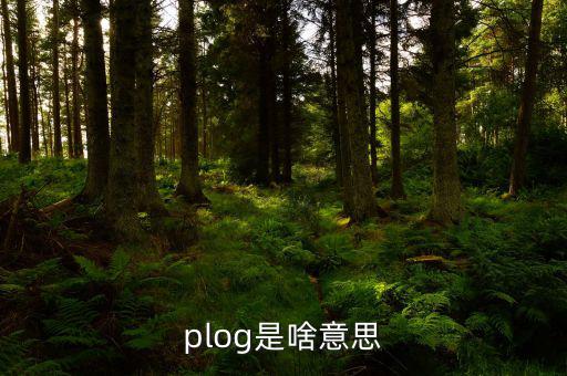 airbnb是什么意思，booking是什么意思