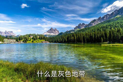 什么是項目灰色地帶，什么是灰色地帶