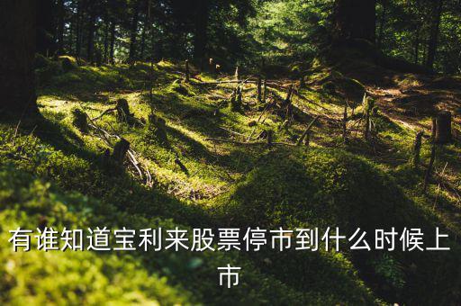 寶利來什么時候成為st股的，正常的股票變成st的具體時間