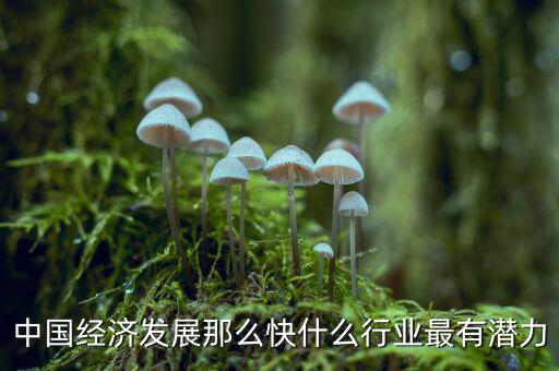 未來中國經(jīng)濟(jì)什么行業(yè)可以，中國經(jīng)濟(jì)發(fā)展那么快什么行業(yè)最有潛力