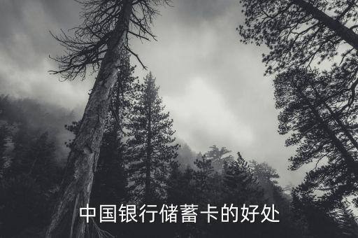 中國銀行存蓄卡有什么好處，中國銀行儲蓄卡的好處