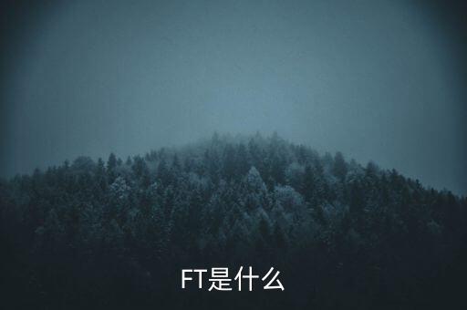什么是FT調(diào)查，F(xiàn)T是什么