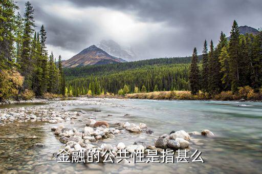 什么是公共金融，金融的公共性是指甚么