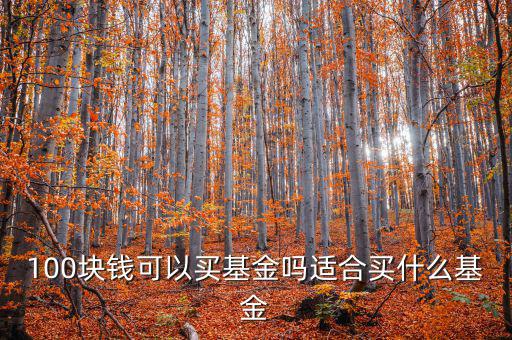 100塊怎么投資,100元買(mǎi)基金有收益嗎?