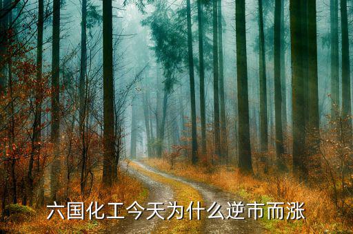 六國(guó)化工有什么概念，六國(guó)化工和六國(guó)化肥是一個(gè)意思嗎