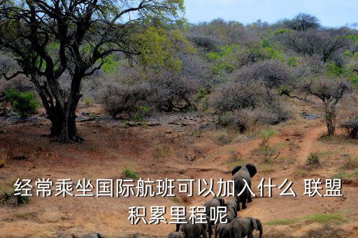 星空聯(lián)盟積分怎么算,南航、東航可通過明珠卡共享積分等