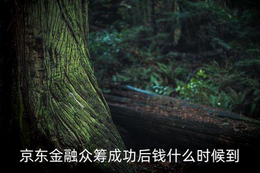京東金融活動(dòng)什么時(shí)候結(jié)束，金條的活動(dòng)什么時(shí)候結(jié)束啊
