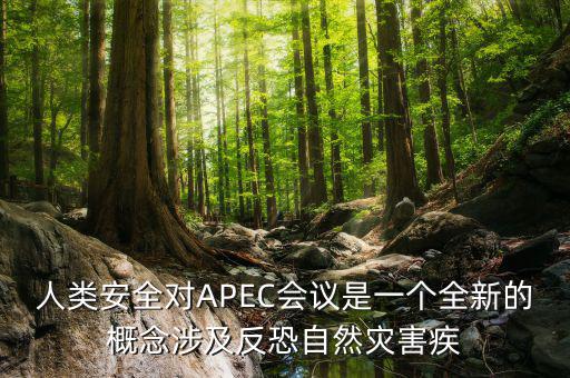 2014apec峰會(huì)簽署了什么文件，亞洲和太平洋地區(qū)經(jīng)濟(jì)合作會(huì)議簡(jiǎn)稱 APEC