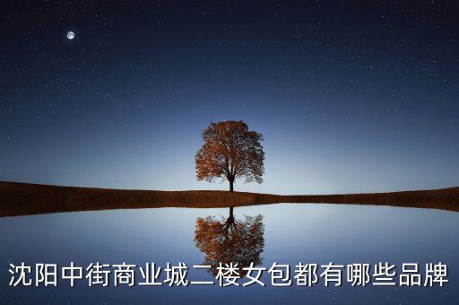 中街商業(yè)城都有什么品牌，沈陽(yáng)中街商業(yè)城二樓女包都有哪些品牌