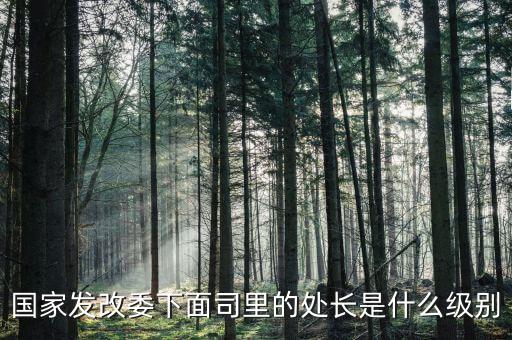 央企處長是什么級別，央企比如移動 電信 聯(lián)通 中石油石化 這些企業(yè)縣的老總是什么級別