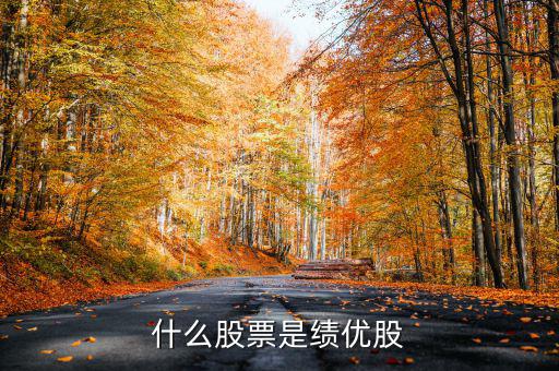 什么是績(jī)效股票，什么叫成長(zhǎng)股和績(jī)效股
