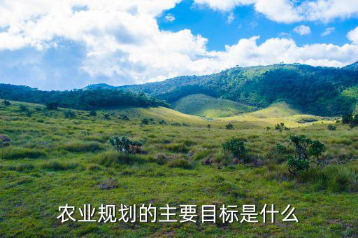 什么是農(nóng)村發(fā)展規(guī)劃指標，詳細規(guī)劃指標體系中各個指標的定義