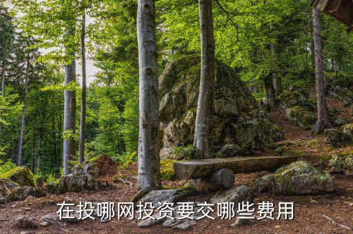 投哪網(wǎng)管理費(fèi)什么時(shí)候收取，投哪網(wǎng)收手續(xù)費(fèi)嗎