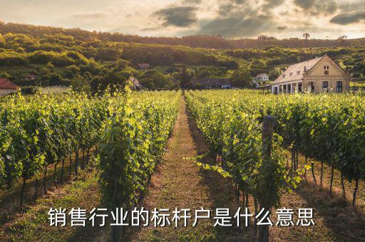 什么叫標(biāo)桿營(yíng)銷，銷售行業(yè)的標(biāo)桿戶是什么意思