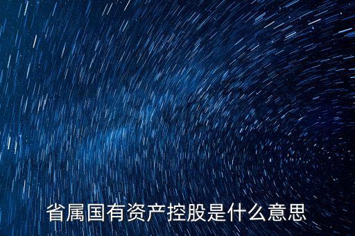 國資控股什么意思，國有資金投資占控股是什么意思