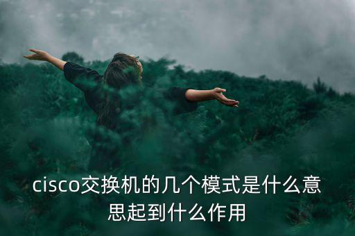 tmt究竟是什么模式，請問TMT是什么意思
