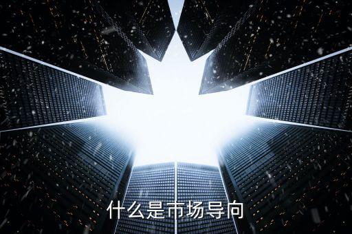 什么叫市場導(dǎo)向機制，什么是市場導(dǎo)向