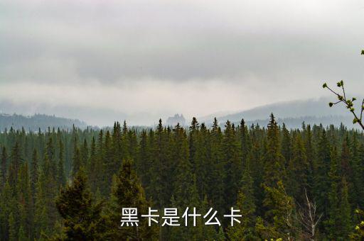 銀行卡黑卡是什么級別，黑卡是什么卡