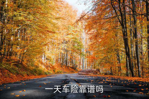 一天車險是什么，一天車險怎么停駛才有錢