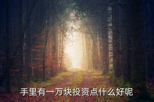 一萬元做什么投資，1萬元創(chuàng)業(yè)投資干什么好
