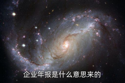 什么是企業(yè)年度報告，企業(yè)年報是什么意思來的