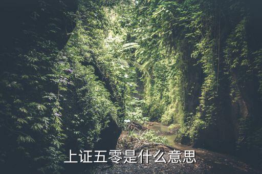 上證50是什么意思，上證50是什么意思還有什么800什么的