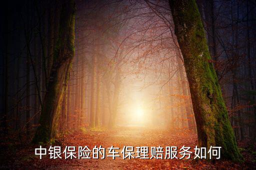 中銀保險車險vip客戶有什么權(quán)利，中銀保險的車保理賠服務(wù)如何