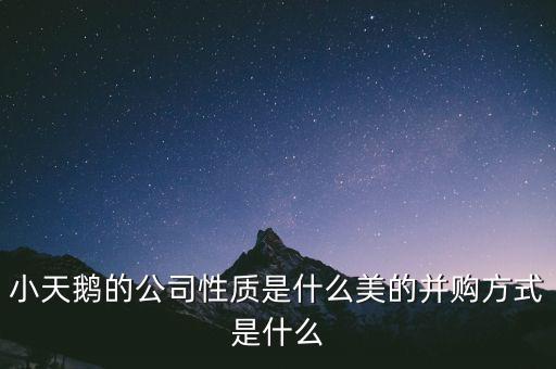 天鵝有什么并購案，小天鵝 合并的品牌