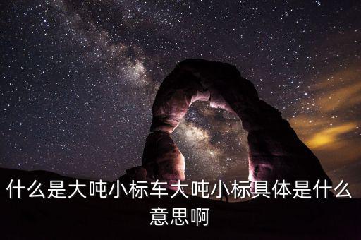 非標(biāo)轉(zhuǎn)標(biāo)是什么意思，上角標(biāo)a是什么意思