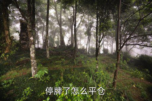 股票黑名單什么意思，股票配售黑名單是什么意思