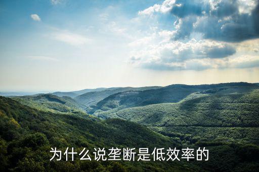 壟斷的無(wú)效率是什么，為什么說(shuō)壟斷會(huì)導(dǎo)致低效率