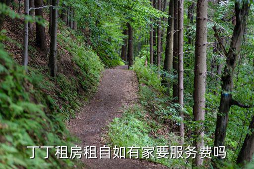 丁丁租房都收取什么費用，丁丁租琴的費用怎么算