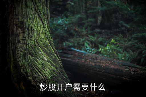 炒股開(kāi)戶(hù)需要什么