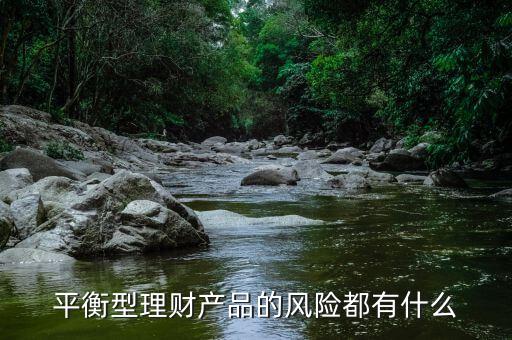 理才客戶風險平衡型是什么意思，平安銀行評估平衡型是什么意思