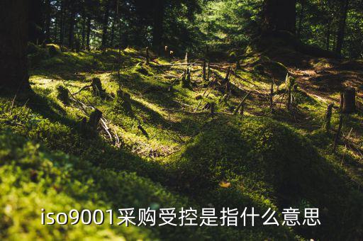 采購流程的雙控體系是什么意思，iso9001采購受控是指什么意思
