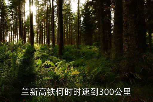 蘭新高鐵什么時候提速，蘭新高鐵2015年3月20日后會再提速嗎