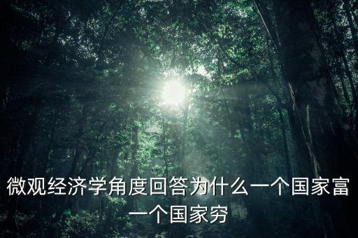 微觀經(jīng)濟(jì)學(xué)角度回答為什么一個(gè)國家富一個(gè)國家窮