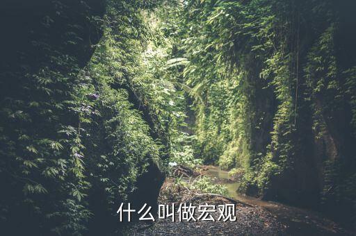 宏觀是指什么方面，什么叫做宏觀