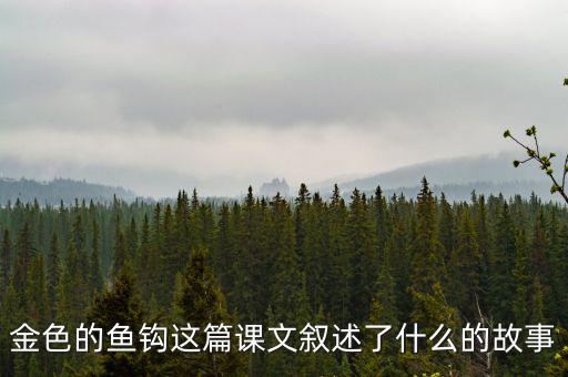 金這篇課文是一篇什么文，金子這篇課文使我們懂得了什么道理