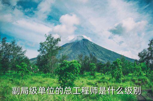 核安全總工程師是什么級別，總工程師是什么級別