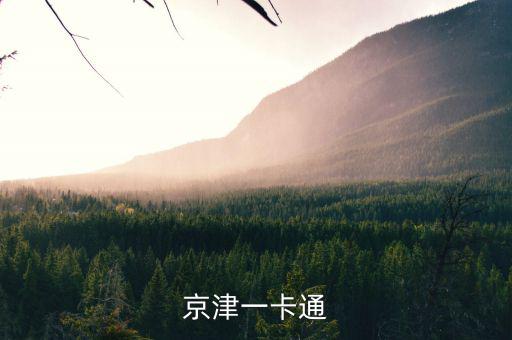 京津冀公交卡一體卡是什么樣子的，在北京辦的藍(lán)色的公交卡是可以在石家莊所有公交用了嗎還是說京津