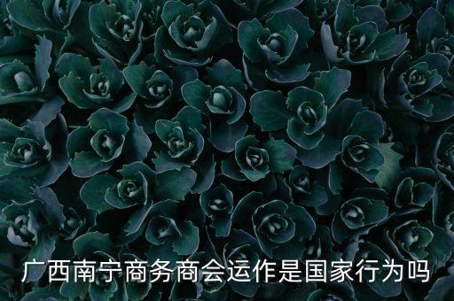 南寧什么時候打擊傳銷，廣西南寧有傳銷嗎