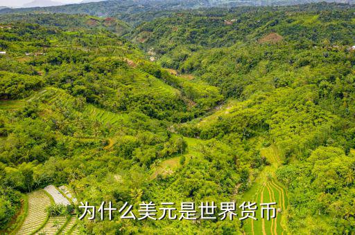 美元為什么是世界貨幣，為什么美元是世界貨幣