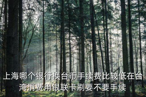 上海什么銀行可以換臺幣，上海可以人民幣兌換新臺幣嗎分別是什么銀行