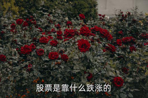 股市靠什么漲跌，股票是靠什么跌漲的