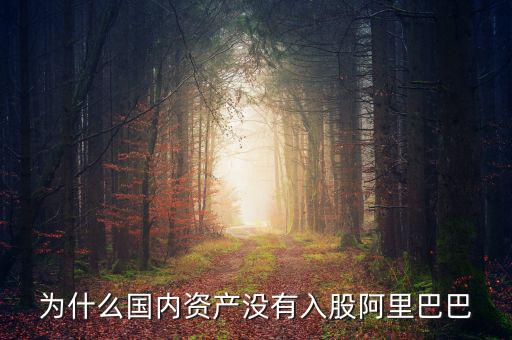 當(dāng)初為什么沒投阿里巴巴，為什么國內(nèi)資產(chǎn)沒有入股阿里巴巴