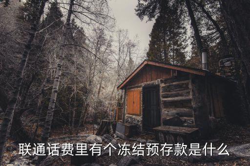 凍結預存款是什么意思，聯(lián)通話費里有個凍結預存款是什么
